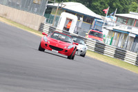 LOTUS 0941