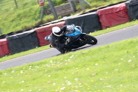 Fowlers 0856