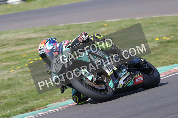 BIKES 0481