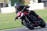 BIKES 0292