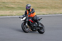 BIKES 1174