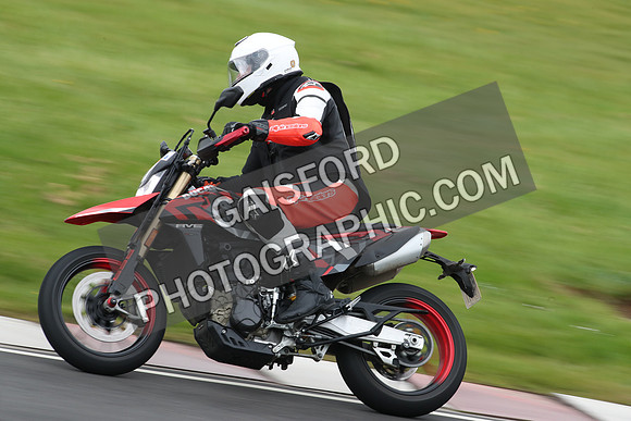 BIKES 2195