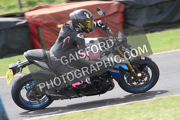 BIKES 1725