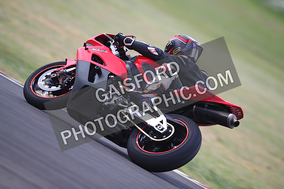 BIKES 1339