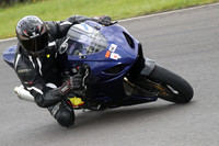 Fowlers 0785
