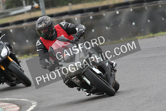 BIKES 0699