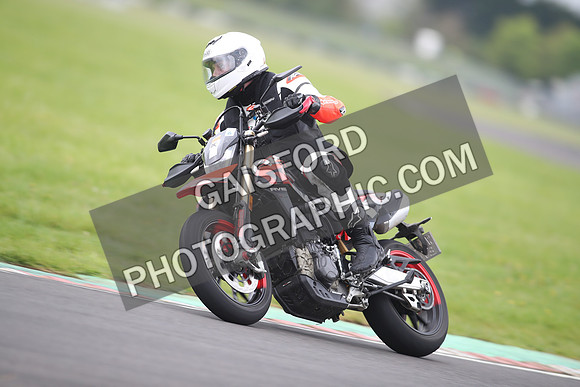 BIKES 1293