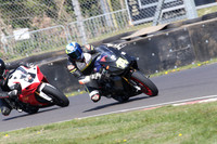 BIKES 0570