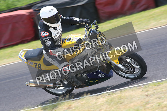 BIKES 1462