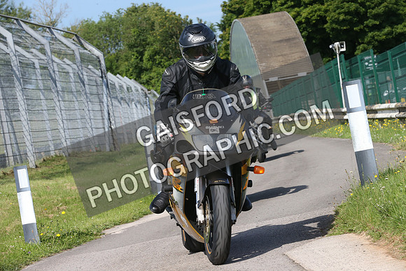 BIKES 0068