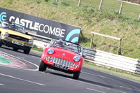 TR Reg 0594