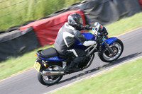 Suzuki SV blue