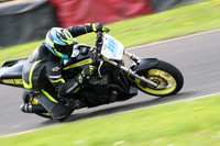 Fowlers 0788