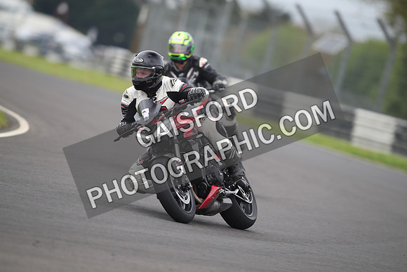 BIKES 1334