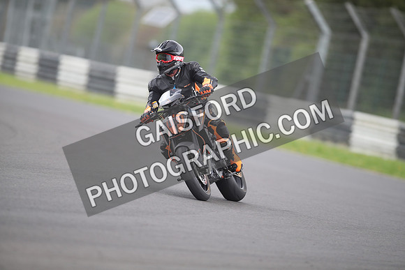 BIKES 1263