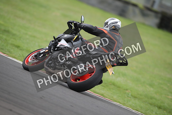 BIKES 1372