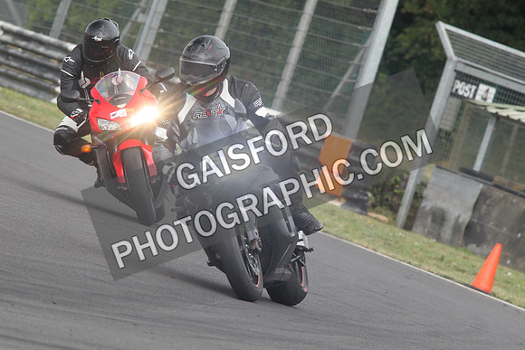 BIKES 1429