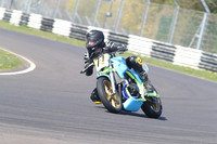 BIKES 1331