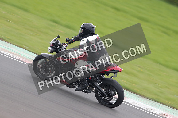BIKES 2241