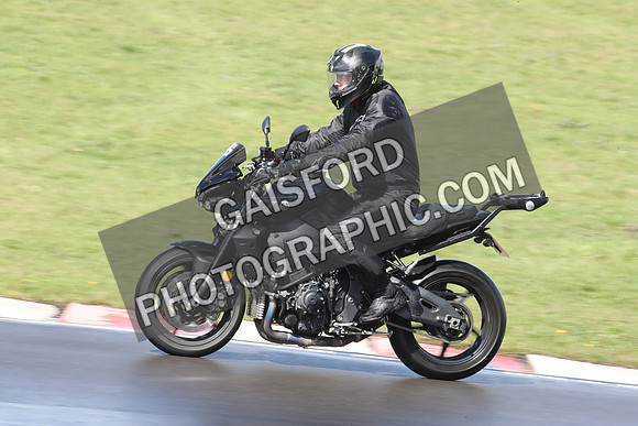 BIKES 0569