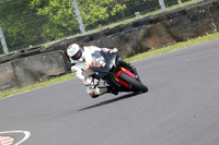 Fowlers 0520