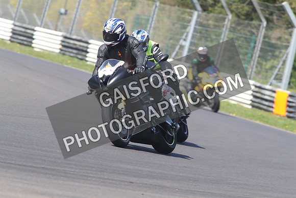 BIKES 1429