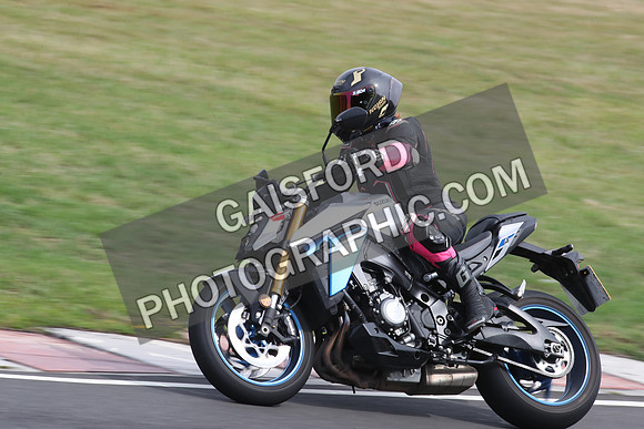 BIKES 2395