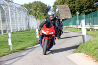 Honda CBR