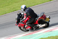Honda Red
