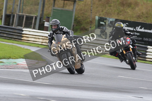 BIKES 0356