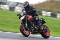 BIKES 0346