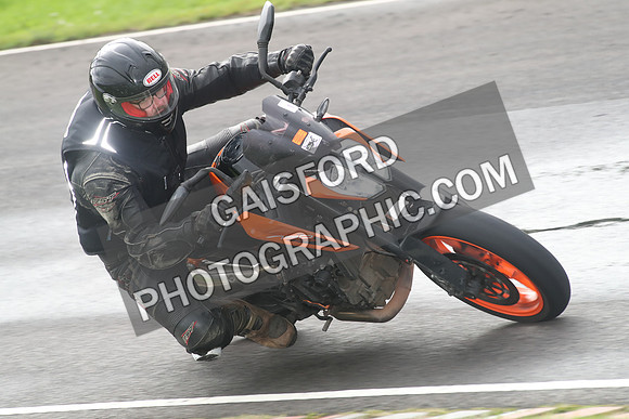 BIKES 0771
