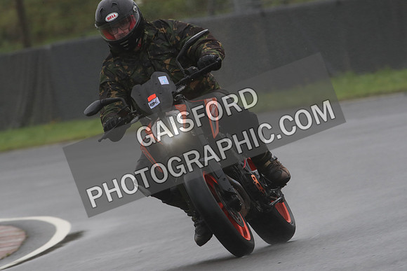 BIKES 1381