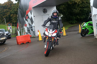 BIKES 0042