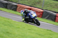 BIKES 1117