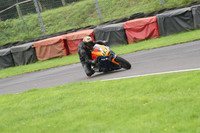 BIKES 1077