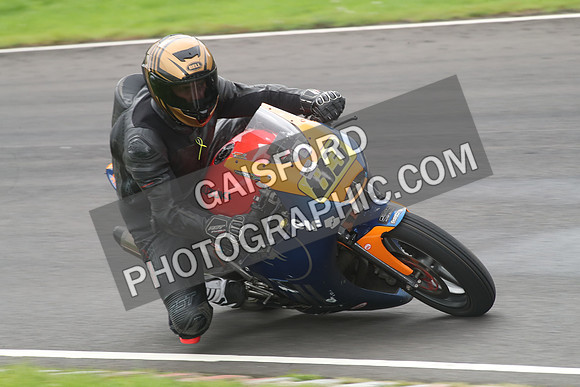 BIKES 1100