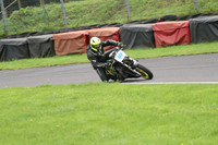BIKES 1173