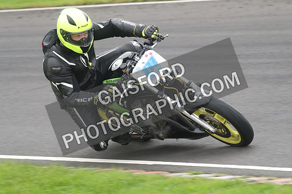 BIKES 1174