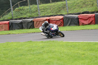 BIKES 1175