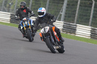 BIKES 1562