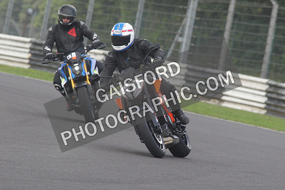 BIKES 1562
