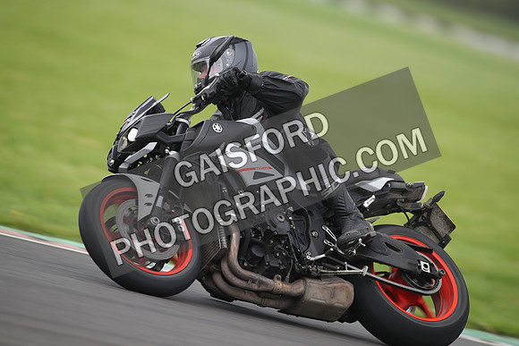 BIKES 1170