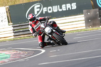 BIKES 0284