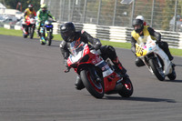 BIKES 0855