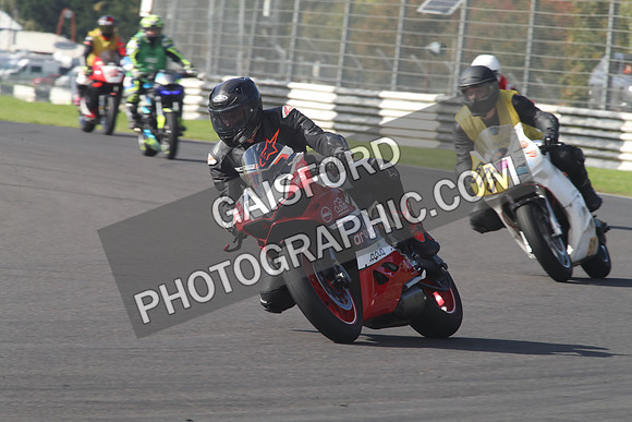 BIKES 0855