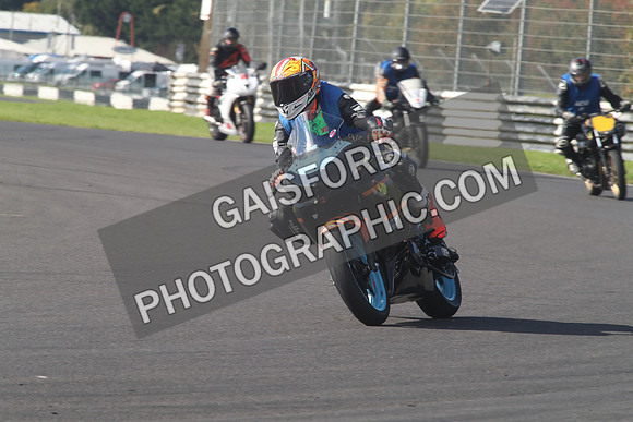 BIKES 0869