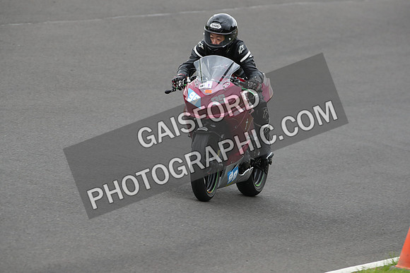 BIKES 1308