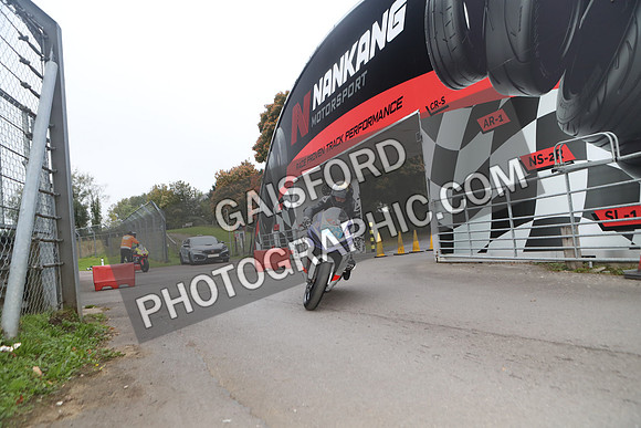 BIKES 0084