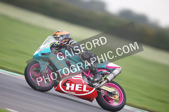 BIKES 0273